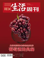 何谓迪拜模式(567)