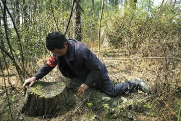 村庄里的高尔夫 ——新阶级斗争的非法与合法1