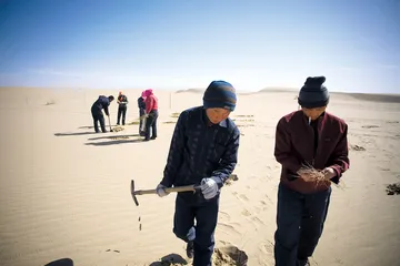 乌兰布和：干旱之地的生态战争2