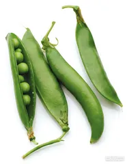 好消息·坏消息（570）3