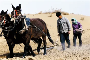 沙源地民勤生态调查
