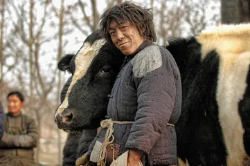 事业感不在于你拍了多少电影，而在于这是不是像你的电影1