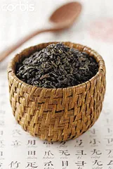 武夷名茶访问记2