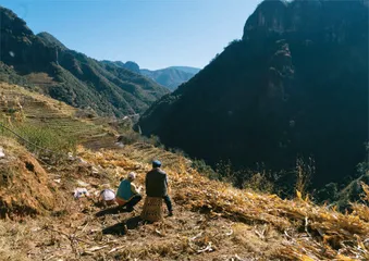 傈僳人的火塘与日常
