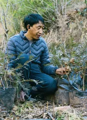 傈僳人的火塘与日常1