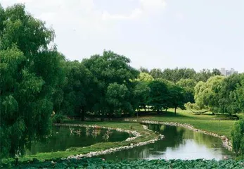 呦呦鹿鸣，从南海子说起1