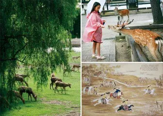 呦呦鹿鸣,从南海子说起2