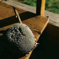 傈僳人的火塘与日常5