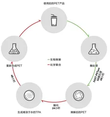 让PET塑料垃圾彻底“消失”,最快只需要一天1