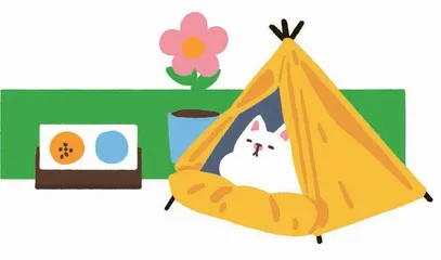 你的露营,是摇曳还是糟心?1