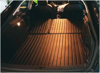 我拯救的不是一只宠物,而是一个家庭1