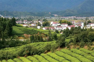 大地艺术节如何在中国乡村落地?6