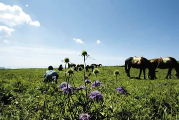 从太行山到涿州：一次完美的长途奔袭1