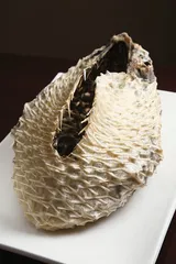 黄埔华苑：金牌海皇刺皮汤