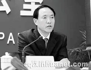 一个“黑社会典型”的重庆发家史4