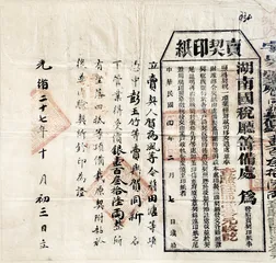 毛同强的“原籍生活”4