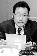 一个“黑社会典型”的重庆发家史11