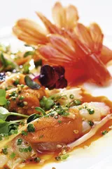 NOBU：三文鱼新式刺身1
