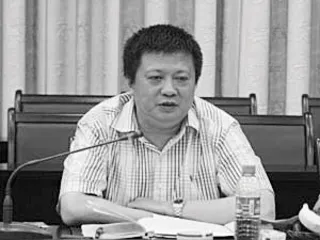一个“黑社会典型”的重庆发家史20