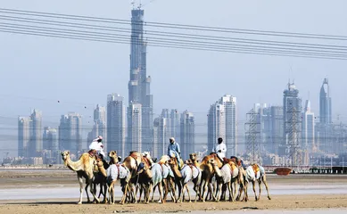 从设计到建成 ——专访迪拜塔设计师安德里安·史密斯2