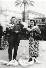 回忆我的母亲凌叔华