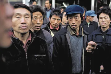 “11·16”山西中阳县黄土崩塌事件下的脆弱生态3