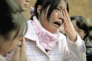 “11·16”山西中阳县黄土崩塌事件下的脆弱生态6