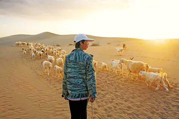 柴在军：沙产业的希望与困境1