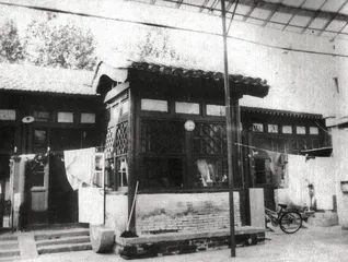 回忆我的母亲凌叔华8