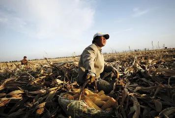 李洪斌：越狱者的迷途