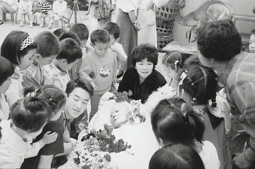 回忆我的母亲凌叔华19
