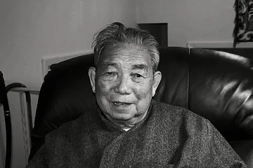 唐德刚：为了告别的聚会2