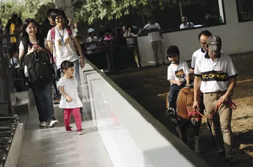 “马痴”李振强艰难的马术梦1