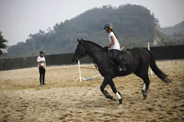“马痴”李振强艰难的马术梦2