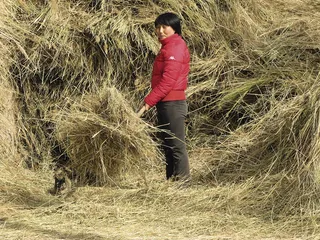 两个美国女孩在中国的小额信贷事业2
