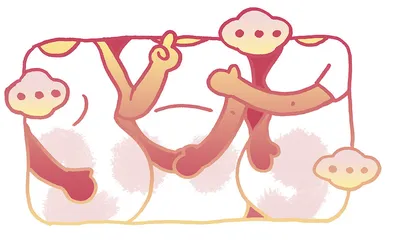 女友们的2009