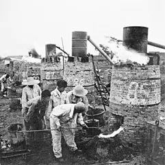 1959～1963 第二届全国人民代表大会与第二个五年计划