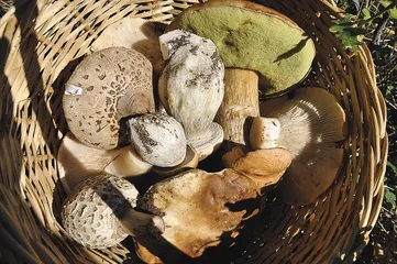 好消息·坏消息（552）2