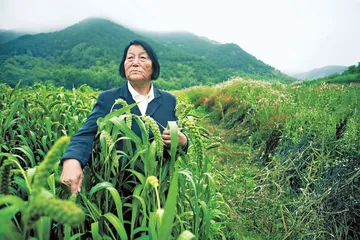 申纪兰 “太阳底下晒的人”