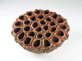 天下(552)4