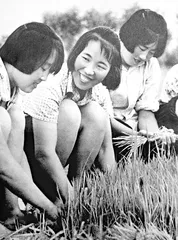 邢燕子 时代偶像的喜乐与艰难1