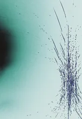 制造一个美丽的悖论9