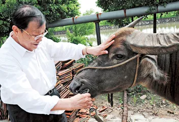 吴仁宝 华西村领袖吴仁宝1