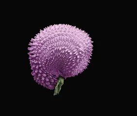 英国馆，种子的力量1
