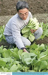 新素食主义1