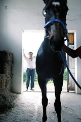 买马人背后的故事