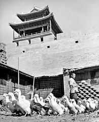1949年，北平城的改造