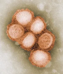 甲型H1N1流感疫苗：争议无可避免2