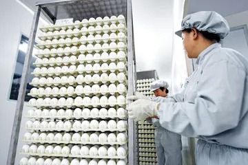 甲型H1N1流感疫苗：争议无可避免3