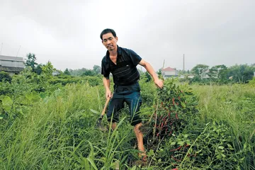 浏阳“镉污染”：重金属隐患下的村庄